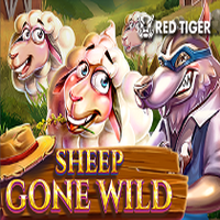 Sheep Gone Wild